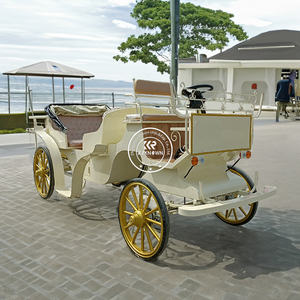 รถม้าเหล็กสไตล์ยุโรป ราคาโรงงาน สะดวกสบายด้วยระบบไฟฟ้า เหมาะสำหรับการท่องเที่ยว งานแต่งงาน นักท่องเที่ยว 4-6 คน คริสต์มาส - Product Image 6