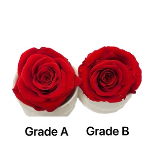 Set di 8 Rose Eterne Fatte a Mano di Grado <span class=keywords><strong>B</strong></span>, 4-5cm, Materiale Ecologico per Regali di Capodanno - Product Image 4
