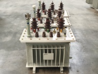 Transformateur immergé dans l'huile entièrement scellé 20kVA 30kVA 50kVA 80kVA 100kVA 200kVA 3 phases 11kV 400V 60Hz ETP S11/13 réglable sur site longue durée