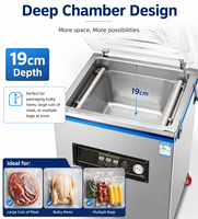 Machine d'emballage sous vide industrielle commerciale électrique automatique en acier inoxydable à chambre unique avec contrôle numérique du film