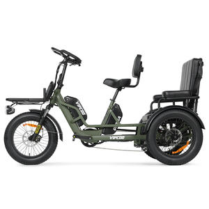 VIPCOO R1 750W 40AH Pasajero Tres Ruedas Triciclos Eléctricos de Acero Neumático Gordo Scooter de Movilidad Bicicleta Triciclo Eléctrico para Adultos - Product Image 1