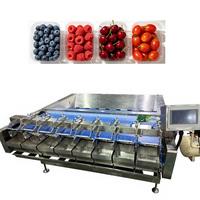 Blauwe-bessen intelligente robot weeg-, verpakkings- en sorteermachine