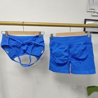 Nouvel Arrivage – Ensemble de Sport Sans Couture Personnalisé avec Soutien-Gorge de Sport Dos Nu et Effet Scrunch pour Femme – Idéal Gym, Fitness, Yoga et Entraînement