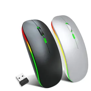 Souris sans fil 15 couleurs disponibles Souris RGB rechargeable compatible BT Souris ergonomique avec rétro-éclairage LOGO personnalisé