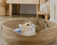 Promo HOT Tempat Tidur Kucing Anyaman Alami dengan Bantal Empuk, Tempat Tidur Hewan Peliharaan Nyaman dari Rotan untuk Dalam Ruangan, Keranjang Kucing