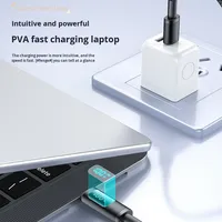 100W USB-C zu Typ-C Schnellladekabel mit LED-Leistungsanzeige und Nylon-Ummantelung für Kamera & Kopfhörer Telefon/Laptop OEM
