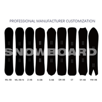 STEPSNOW OEM fabrication de snowboard planche de kitesurf planche de kitesurf à double pointe à vendre
