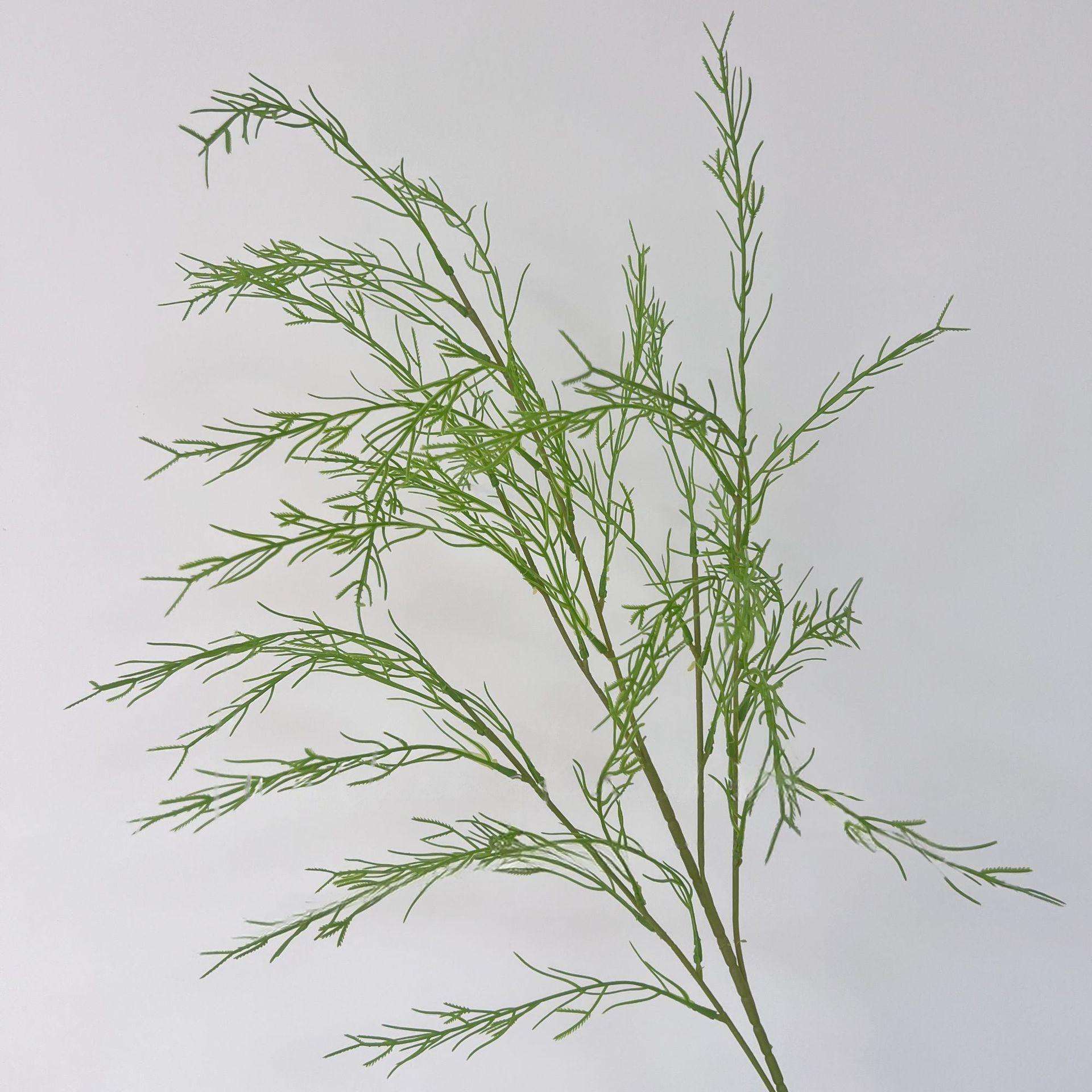 กกหญ้าสีเขียว