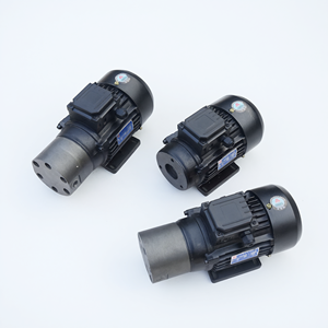 Unidad de Motor de Bomba de Engranajes Bidireccional SXF de Hierro Fundido YS6324 0.18KW para Lubricación de Máquinas Herramienta - Product Image 1