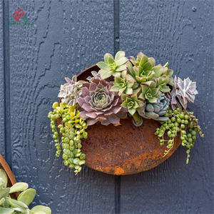 Planteur en acier <span class=keywords><strong>corten</strong></span> pour plantes, plateau de pot - Product Image 5