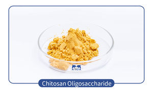 ปุ๋ยชีวภาพไคโตซาน - ปรับปรุงดินและเสริมสร้างความต้านทานโรค ใช้ได้กับผลไม้ ผัก และพืชในโรงเรือน - Product Image 6