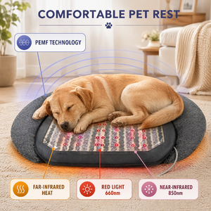 Tapis de thérapie physique PEMF à lumière rouge ZT, matelas chauffant infrarouge en améthyste, tapis de thérapie PEMF pour animaux de compagnie pour soulager la douleur - Product Image 2