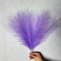 Boho Large Plume Fleurs séchées naturelles Herbe de pampa pour mariage et décoration intérieure pour Noël Saint Valentin Pâques