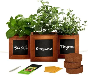 Kit de jardinage d'herbes d'intérieur Pots d'herbes internes Plateaux d'égouttement Pot de fleurs DIY Kit de culture d'herbes aromatiques de cuisine comprenant 3 bois CLASSIC