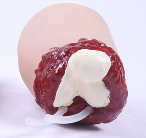 Modelo de Trauma de Extremidades Superiores e Inferiores, Maniquí para Control de Hemorragias, Brazo o Pierna Amputada, Modelo de Trauma, Modelo de Aplicación de Vendas para Hemorragias - Product Image 5