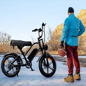US Stock OBX Bike 20inch Fat Tire Dirt Bike 48V 15ah Removable Battery Brushless High Speed Motor G60 G60 Aluminum <b>Frame</b> P - Product Image 4