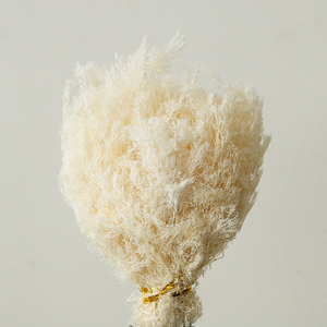 Micro Paysage Arbres Arbustes DIY Cadre Photo Peinture Décoration Modèle Architectural Vie Éternelle Fleur Saint Valentin - Product Image 2