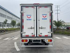 New -20 Centigrade Grande Capacité Freeze Van Wuling Cargo Van <span class=keywords><strong>Camion</strong></span> Réfrigéré pour Viande et Poisson Légumes Fruits Crème Glacée - Product Image 4
