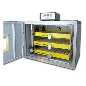 Solar Power Hot sale small chicken incubator and hatching machine for poultry