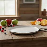 Service de table en grès de luxe classique |   Assiettes et tasses en céramique blanche émaillée |   Vaisselle résistante à la chaleur, anti-fuite, compatible lave-vaisselle et four