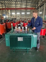 Transformateur de distribution haute tension immergé dans l'huile 160 kVA S13 20 kV, enroulement en cuivre, sortie 480 V, double enroulement, 50/60 Hz, monophasé/triphasé