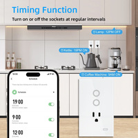 Prise de sol intelligente Zigbee standard US, interrupteurs intelligents Tuya, WiFi intelligent 16A, panneau en verre trempé, commande vocale Alexa, IP66