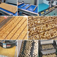 Chaîne de production de barres protéinées : machine à extruder les céréales au chocolat, les cacahuètes, les noix, les dattes, la granola et les barres énergétiques au sésame