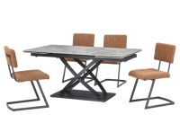 Ensemble de table à manger extensible en bois au design moderne et luxueux, 6 chaises avec pieds en métal, pour hôtel, cuisine, appartement, parc, utilisation en extérieur