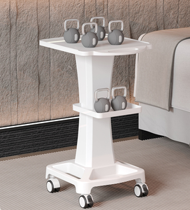 <span class=keywords><strong>Chariot</strong></span> médical <span class=keywords><strong>pour</strong></span> ordinateur <span class=keywords><strong>portable</strong></span> avec étagères, poste de travail <span class=keywords><strong>mobile</strong></span> en métal, <span class=keywords><strong>chariot</strong></span> d'hôpital de haute qualité <span class=keywords><strong>pour</strong></span> hôpital - Product Image 4