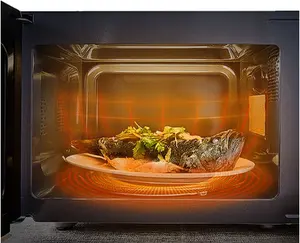 Four à micro-ondes magnétron portable pour cuisine à domicile, 20L, 2022 Hot Sale