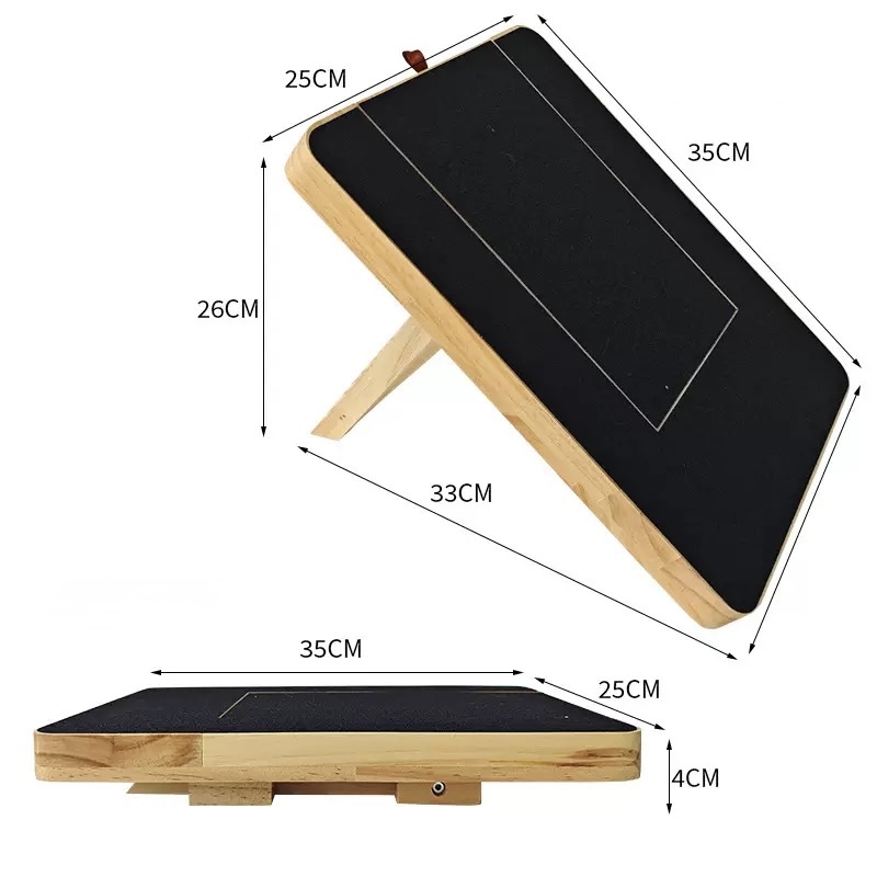 การสนับสนุนสีดำ