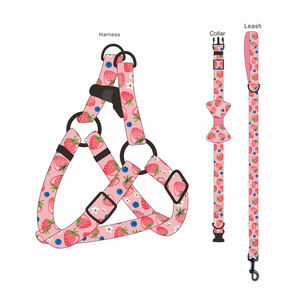 ストロベリーフルーツパターン犬のハーネスとリーシュセット大中小反射ベストポリエステル漫画のスタイルで作られた - Product Image 6