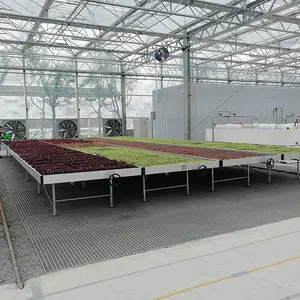 China supplier ebb and flow tables growing rolling benches for medical plants