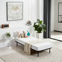 Cadre de lit moderne et simple en métal noir de haute qualité, structure KD, taille personnalisable, durable et facile à assembler pour chambre, hôtel, école