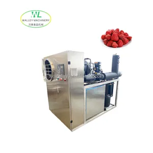 China Lab Type Vacuüm Vriesdroger Lyofilisator Machine Goedkope Prijs Voor Fruit