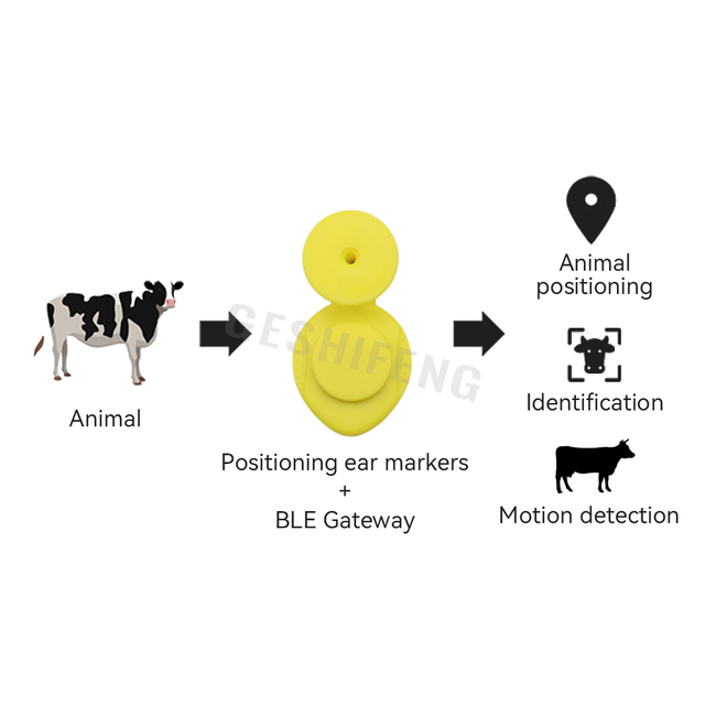 Custom Cattle Ear Tag Cow Farm Supplies Ear Tags for Monitor Cattle Activity
