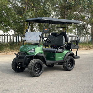 Voiture <span class=keywords><strong>de</strong></span> golf Black Knight électrique, nouvelle énergie, parcours, complexe hôtelier, 4x4, batterie au lithium, super puissance - Product Image 5