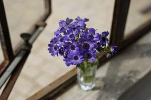 เลนส์มาตรฐาน FE 58 มม. F1.8 (SEL50F18F/2) โฟกัสแบบแมนนวล ตัวเลนส์ทำจากอะลูมิเนียม - Product Image 5