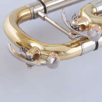 Taishan Brand High Quality Wholesale Brass Bb Key Gold Lacquer Trumpet for Performance