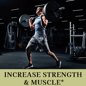 Cápsulas de Suplemento Herbal <span class=keywords><strong>Tes</strong></span> Tboost Max OEM ODM, Apoyan el Aumento de la Fuerza, Energía, Vitalidad, Resistencia y Energía para Adultos - Product Image 3