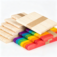 Bâtonnets de crème glacée en bois jetables, biodégradables, de qualité alimentaire, pour les fêtes, vente en gros