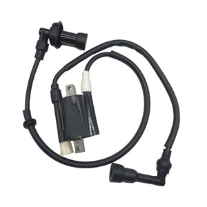 Bobine d'allumage Jilong pour moto monocylindre Bajaj Ns200, pièce de rechange 3006, capuchon d'allumage haute tension inclus - Product Image 1