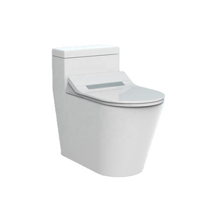 Умное электрическое душевое сиденье для унитаза умное биде с насадкой - Product Image 1