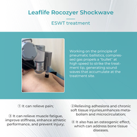 2025 LEAFLIFE ROCOZYER Fauteuil de massage corporel complet G5 avec bras robotisé, pistolet de massage et outils de massage EMS pour les muscles