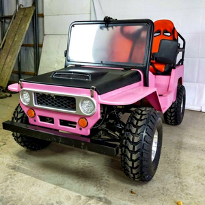 Personalización de Fábrica, Mini Jeep Todoterreno, Vehículo Agrícola de 2 Plazas, 150cc, ATVs y UTVs Chinos en Venta - Product Image 1