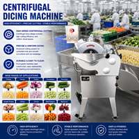 Commerciële centrifugale groentesnijmachine met hoge capaciteit voor aardappel, ui, radijs en zoete aardappel