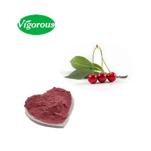 Hochwertiges reines natürliches Frucht pulver Tart Cherry Extrakt für kostenlose Proben