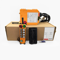 Sistema de Control Remoto para Grúa, Control Remoto Inalámbrico Industrial, Botones de Velocidad Única, Control Remoto de Grúa, 433,92 MHz, 1 Unidad, 1 Unidad, 2 Unidades