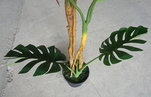 Vente en gros de feuilles artificielles de Monstera <span class=keywords><strong>Albo</strong></span> Deliciosa, bonsaï écologique et durable, décoration intérieure pour la maison, en pot en plastique - Product Image 3