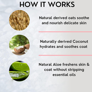 Ingredienti biologici <span class=keywords><strong>shampoo</strong></span> e balsamo per cani e gatti <span class=keywords><strong>Shampoo</strong></span> per cani Anti prurito <span class=keywords><strong>pelle</strong></span> <span class=keywords><strong>sensibile</strong></span> - Product Image 3